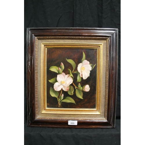 429 - 20TH CENTURY SCHOOL, floral study, oil on board, unsigned, 26cm x 22cm, frame 44cm x 40cm.