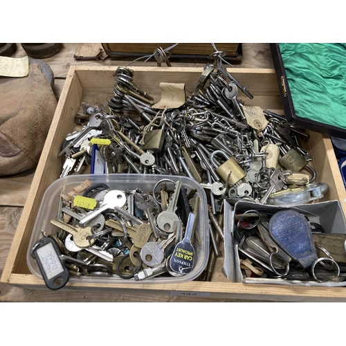 342 - Large collection of keys and padlocks.