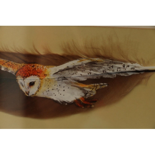 386 - R STORM, Barn Owl Flight, oil on feather, signed to the mount, 6cm x 20cm, frame 23cm x 32cm.