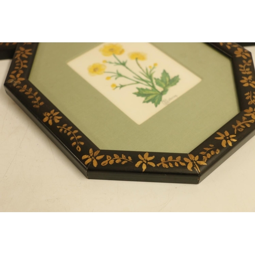 427 - Set of five botanical prints in painted octagonal frames, frame 25cm x 22cm. (5)