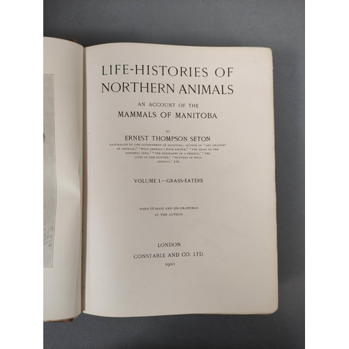 38 - SETON ERNEST THOMPSON.  Life-Histories of Northern Animals, An Account of the Mammals of M... 