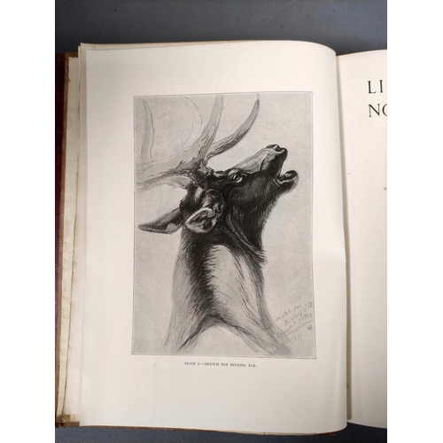 38 - SETON ERNEST THOMPSON.  Life-Histories of Northern Animals, An Account of the Mammals of M... 