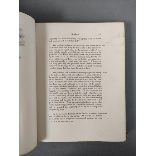 38 - SETON ERNEST THOMPSON.  Life-Histories of Northern Animals, An Account of the Mammals of M... 