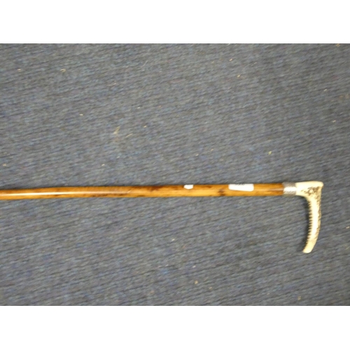 526 - Antique riding crop with white metal collar.