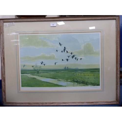 56 - Peter ScottSwans in flight over a riverArtist's proof pencil signed print, with blind stamp.... 