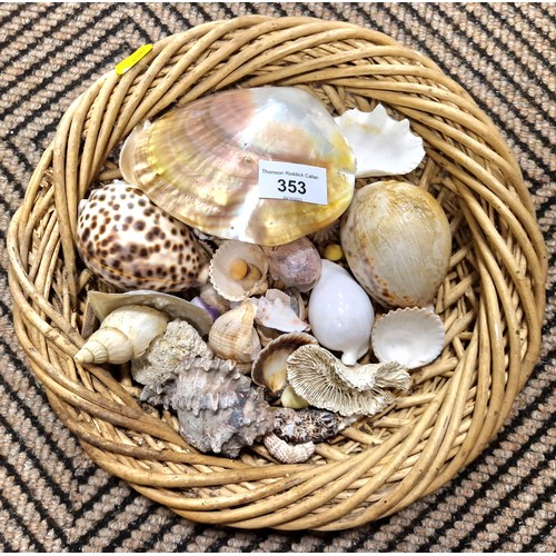 353 - Wicker basket containing shells