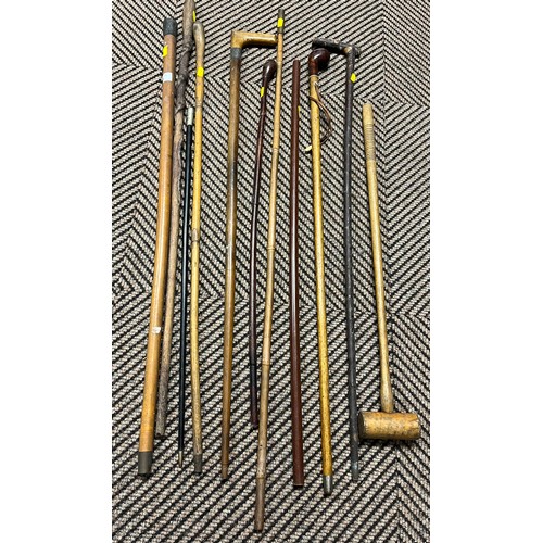 351 - Collection of walking canes, a small mallet etc.