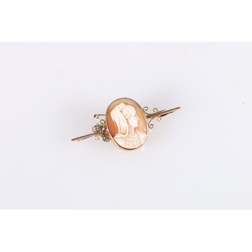 550 - Shell cameo brooch on 9ct gold mounts, 6cm, 6.2g. 