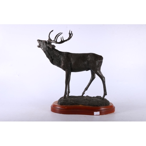 74 - Ballantynes of Walkerburn composition model of stag, 34cm high.