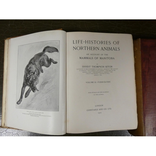 38 - SETON ERNEST THOMPSON.  Life-Histories of Northern Animals, An Account of the Mammals of M... 