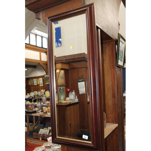 720 - Pier mirror with bevelled glass, 104cm x 43cm.