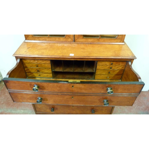 343 - George III satinwood bookcase on secretaire chest in the Sheraton style, with two astragal glazed do... 