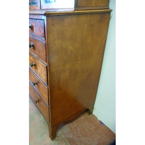 343 - George III satinwood bookcase on secretaire chest in the Sheraton style, with two astragal glazed do... 