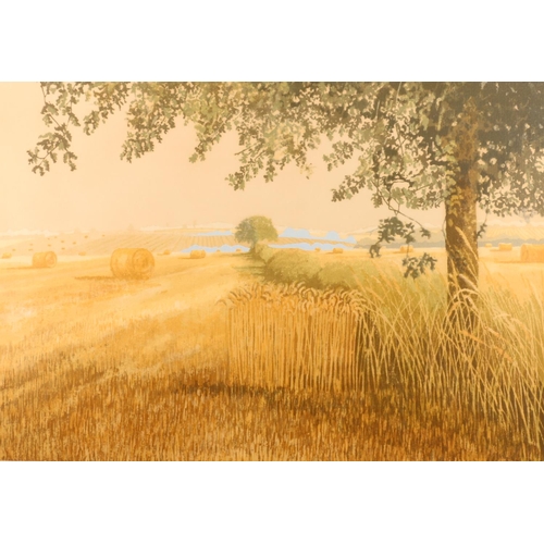 417 - MICHAEL CARLO (b1945), End Of Harvest, print, signed and date 1982 lower right, 35cm x 50cm, frame 6... 