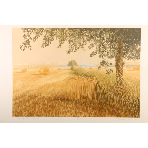 417 - MICHAEL CARLO (b1945), End Of Harvest, print, signed and date 1982 lower right, 35cm x 50cm, frame 6... 