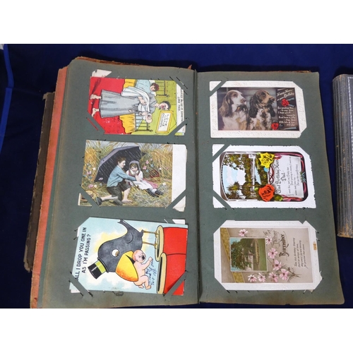 131 - Postcards & Cigarette Cards.  2 old albums, part filled with cigarette cards on ornith... 