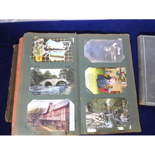 131 - Postcards & Cigarette Cards.  2 old albums, part filled with cigarette cards on ornith... 