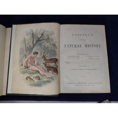 134 - CASSELL (Pubs).  Cassell's Popular Natural History. 2 vols. Quarto. Hand col. eng. plates, other pla... 