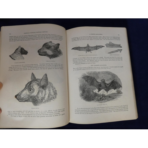 134 - CASSELL (Pubs).  Cassell's Popular Natural History. 2 vols. Quarto. Hand col. eng. plates, other pla... 