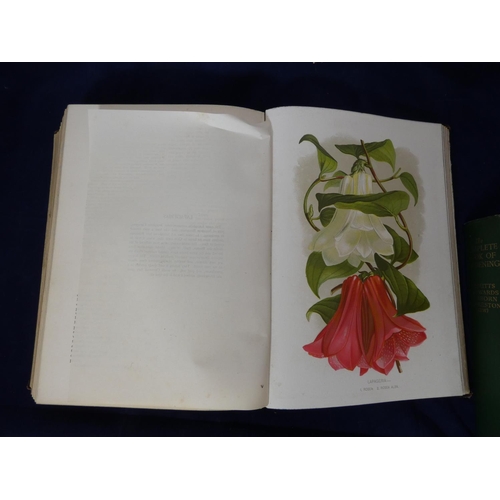 135 - THOMPSON ROBERT.  The Gardener's Assistant, ed. by William Watson. Vol. 1. 656pp. Chromolitho plates... 