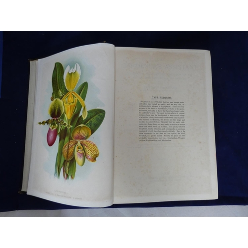 135 - THOMPSON ROBERT.  The Gardener's Assistant, ed. by William Watson. Vol. 1. 656pp. Chromolitho plates... 