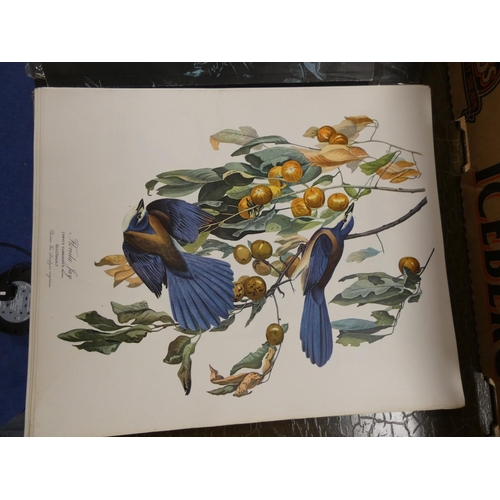 210 - DOCK GEORGE (Ed).  The Audubon Folio. Large quarto portfolio of col. plates together with ... 