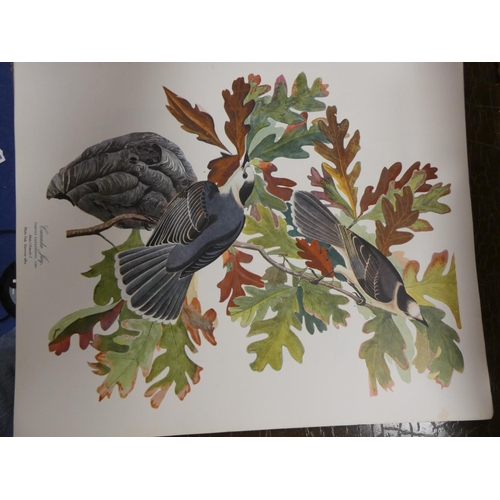 210 - DOCK GEORGE (Ed).  The Audubon Folio. Large quarto portfolio of col. plates together with ... 