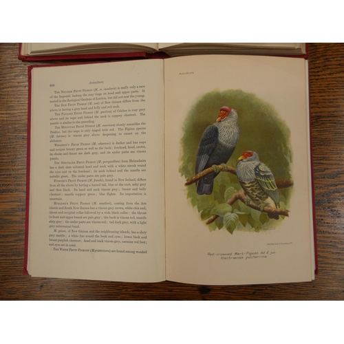 214 - AVICULTURAL SOCIETY.  Aviculture. 3 vols., vol. 1 1936, vols. 2 & 3, 1931. Col. plates... 