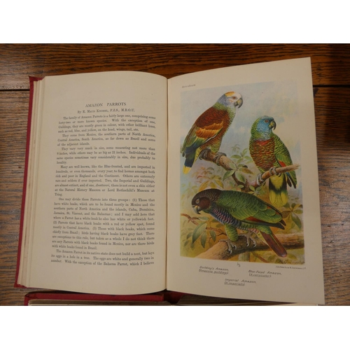 214 - AVICULTURAL SOCIETY.  Aviculture. 3 vols., vol. 1 1936, vols. 2 & 3, 1931. Col. plates... 