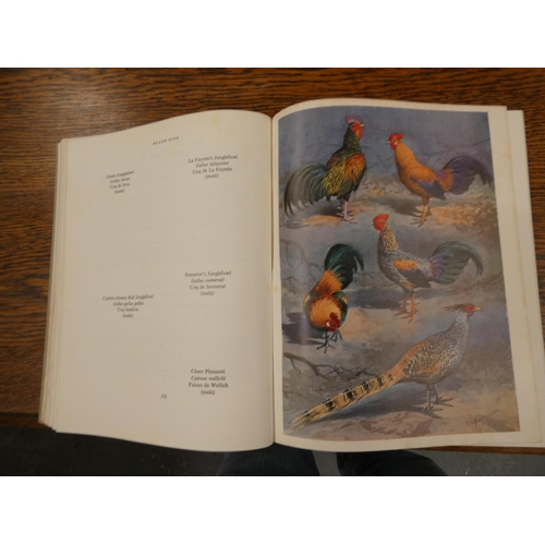 217 - DELACOUR JEAN.  The Pheasants of the World. Col. & other plates, maps & diags. Qua... 