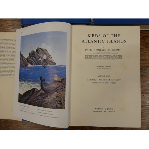 220 - BANNERMAN DAVID A.  Birds of the Atlantic Islands. Vols. 1 to 3. Col. plates & other i... 