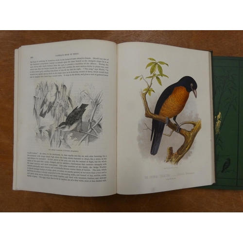 226 - JONES THOMAS RYMER.  Cassell's Book of Birds from the Text of Dr. Brehm. 4 vols. Col. frontis & ... 