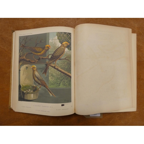 227 - BLAKSTON, SWAYSLAND & WIENER.  The Illustrated Book of Canaries & Cage-Birds, Brit... 