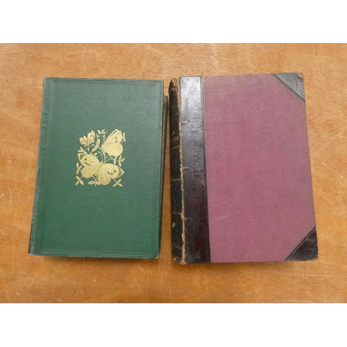 229 - MORRIS REV. F. O.  A History of British Butterflies. Col. plates. Quarto. Orig. green cloth gilt, so... 