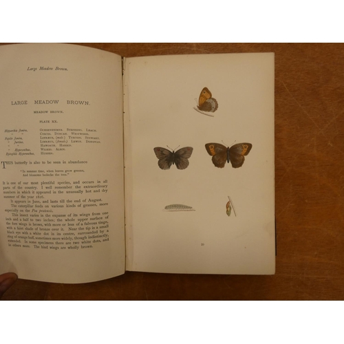 229 - MORRIS REV. F. O.  A History of British Butterflies. Col. plates. Quarto. Orig. green cloth gilt, so... 