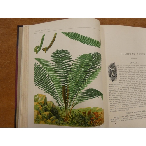 232 - BRITTEN JAMES.  European Ferns. Col. plates & text illus. Quarto. Half leather, stng. & wear... 