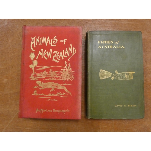 233 - STEAD DAVID G.  Fishes Of Australia. Frontis, plates & illus. Orig. green cloth gilt, ... 