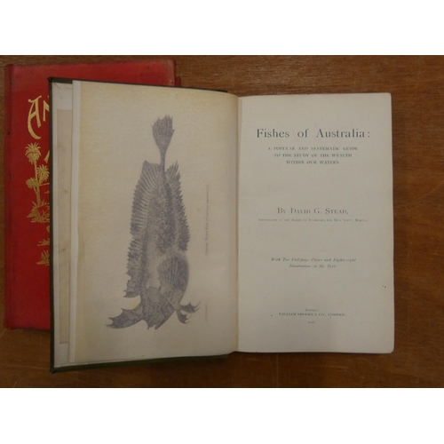 233 - STEAD DAVID G.  Fishes Of Australia. Frontis, plates & illus. Orig. green cloth gilt, ... 