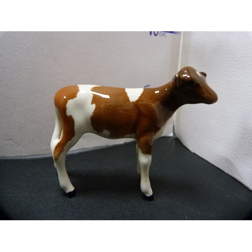 261 - Beswick figure of an Aberdeen Angus cow (a/f) and a Beswick figure of an Ayrshire calf.  (2)