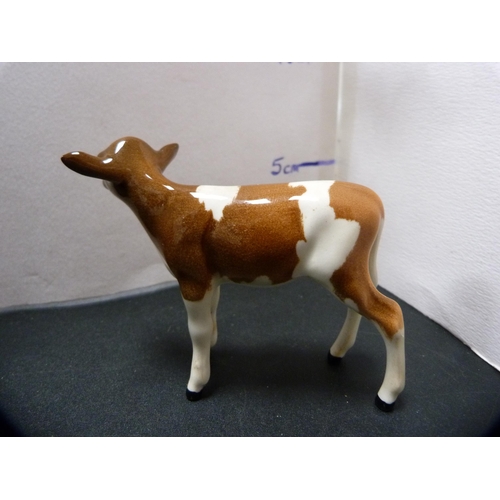 261 - Beswick figure of an Aberdeen Angus cow (a/f) and a Beswick figure of an Ayrshire calf.  (2)