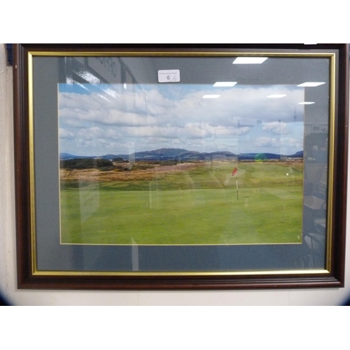 6 - Golfing photograph depicting a green and a floral embroidery.  (2)