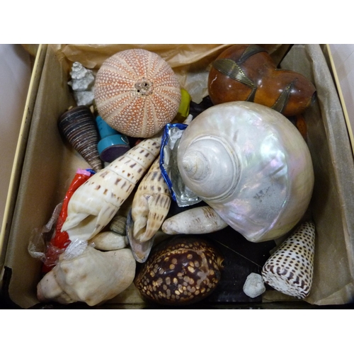 89 - Tin containing collectables to include conch shells, ornaments, cased travel set etc.