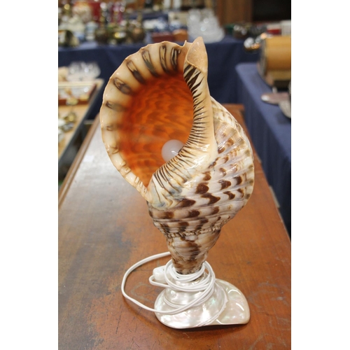 275 - Conch shell table lamp.