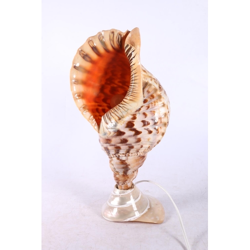 275 - Conch shell table lamp.