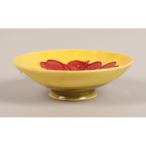 13 - Moorcroft hibiscus design pin dish