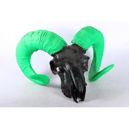 147 - Painted rams skull.