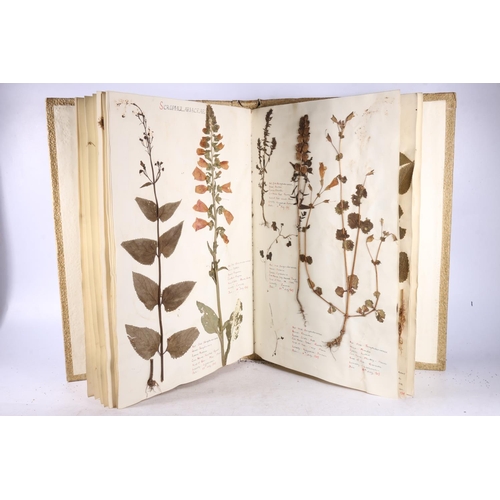 37 - Natural Study Kathleen Black, a scrap album to include a flower collection of pressed specimens, fol... 