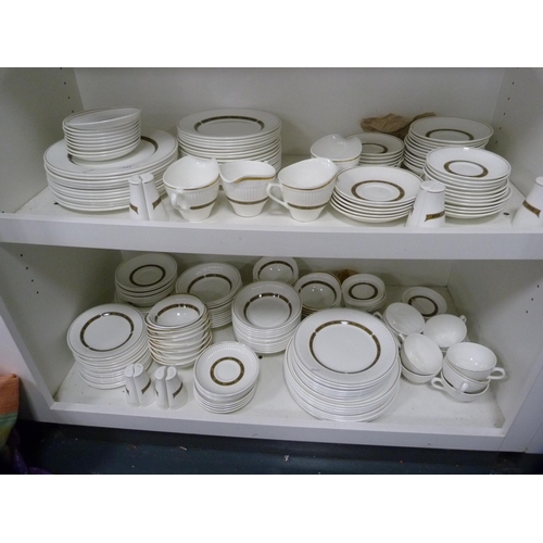 117 - Extensive Wedgwood 'Insignia' tea and breakfast set (two shelves).