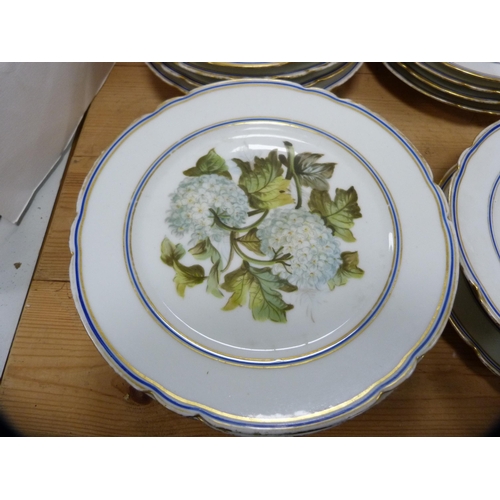 192 - Porcelain fruit set decorated with botanical specimens on a white ground.  (14)