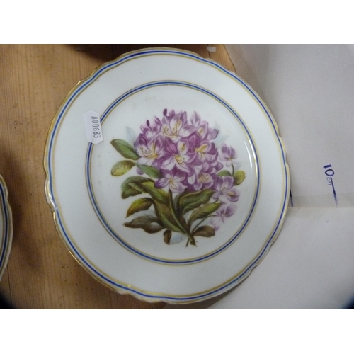 192 - Porcelain fruit set decorated with botanical specimens on a white ground.  (14)